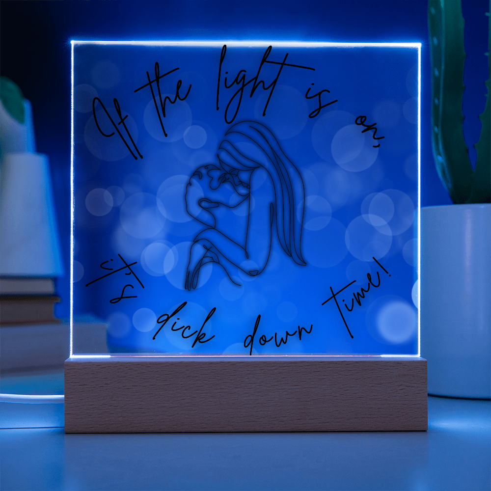 If The Light Is On, It's D*** Down Time Light Up Acrylic | Fun Way To Get Quality Bedroom Time Together